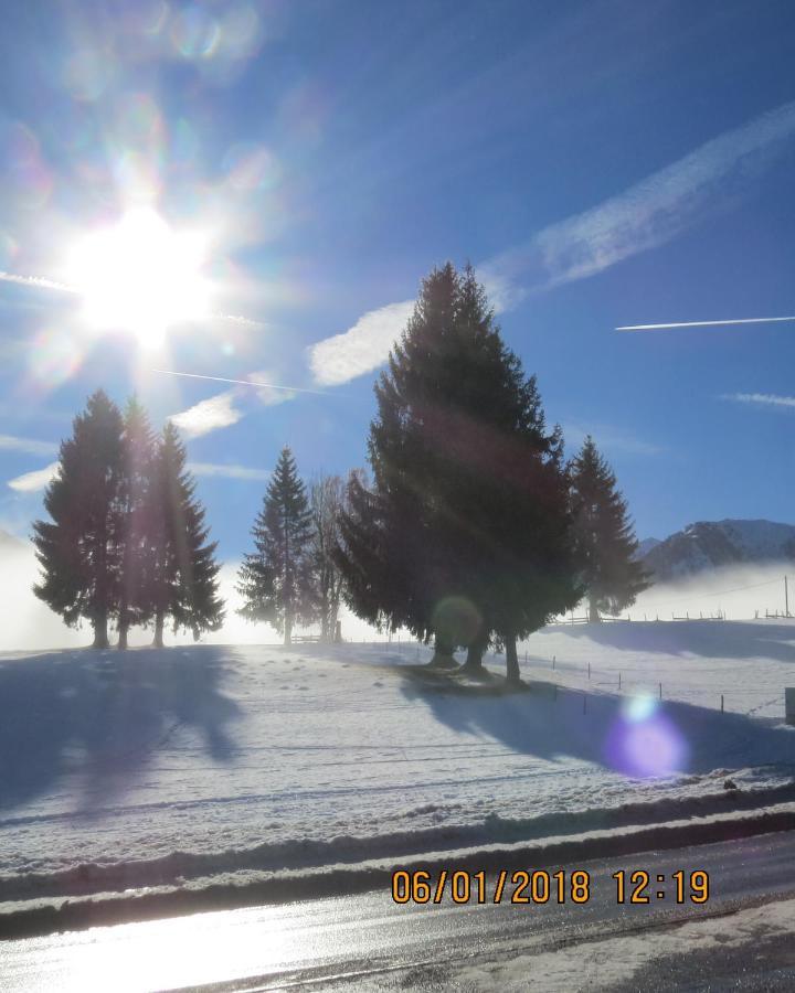 Sportpension Alpenrose *