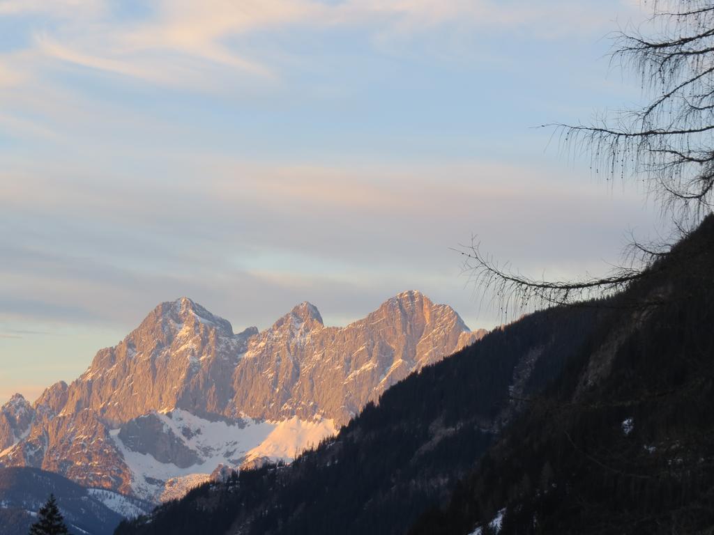 Sportpension Alpenrose Penzion *