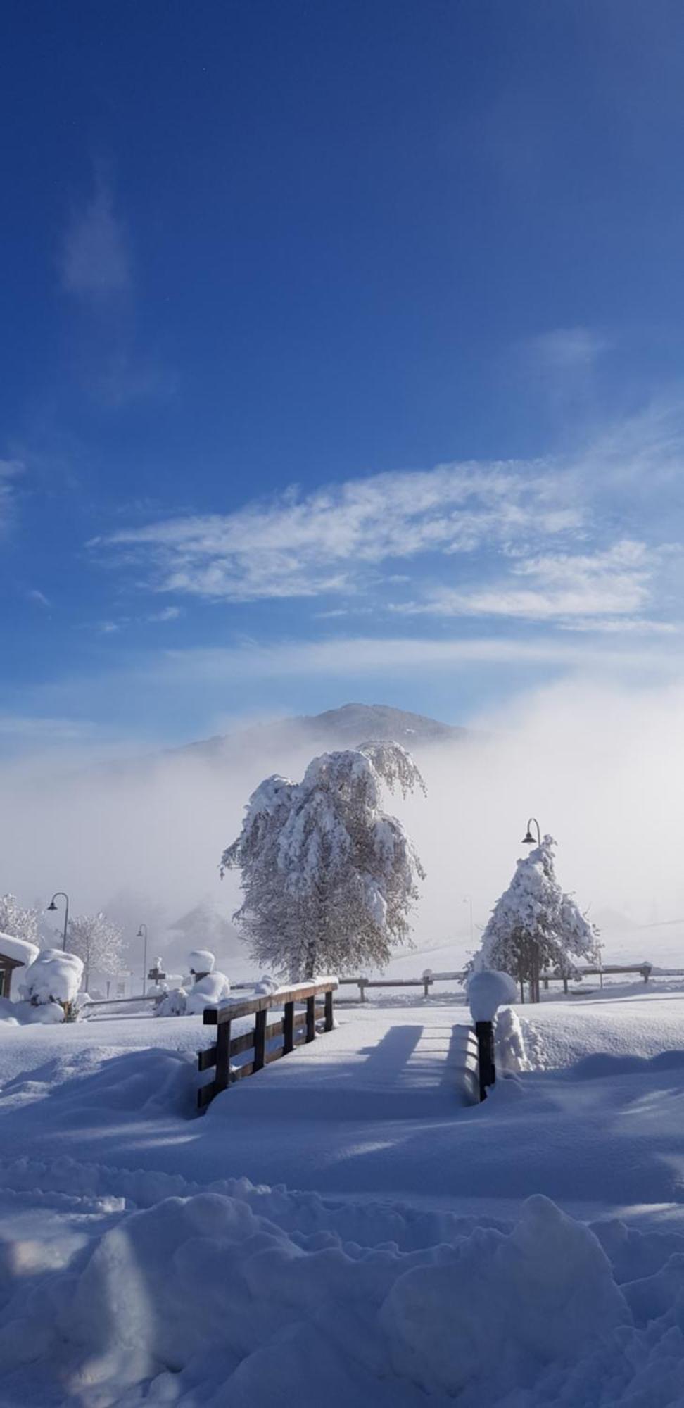 Sportpension Alpenrose Penzion